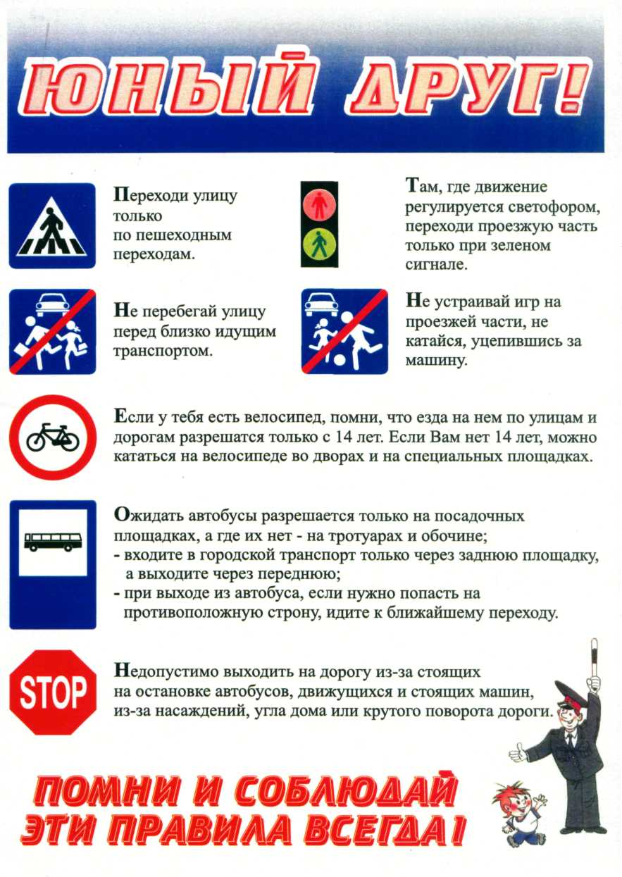 Дорожная безопасность ПДД.